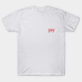 gay T-Shirt